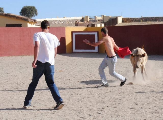 Toreando a la vaquilla